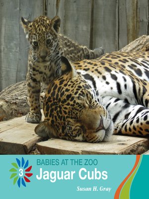 cover image of Jaguar Cubs
